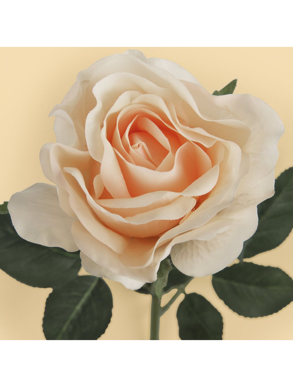 Rose Spray
